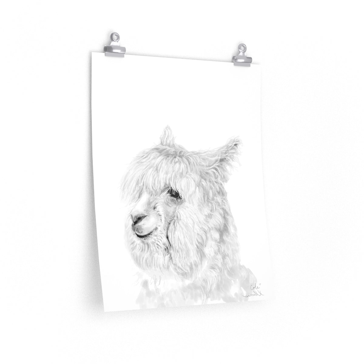 COLE Llama- Art Paper Print