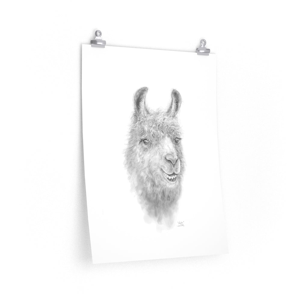 KAYLEE Llama- Art Paper Print