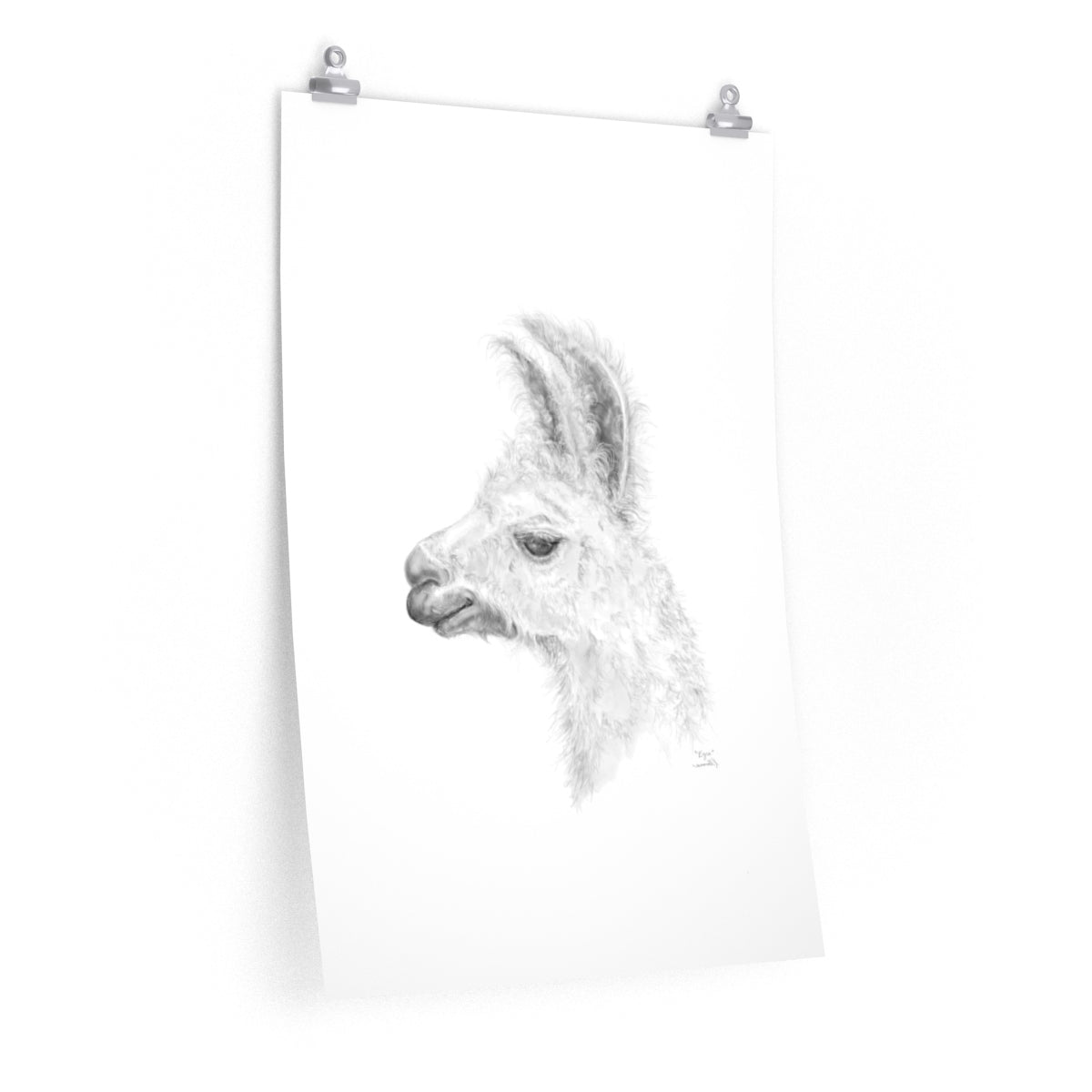 EZRA Llama- Art Paper Print