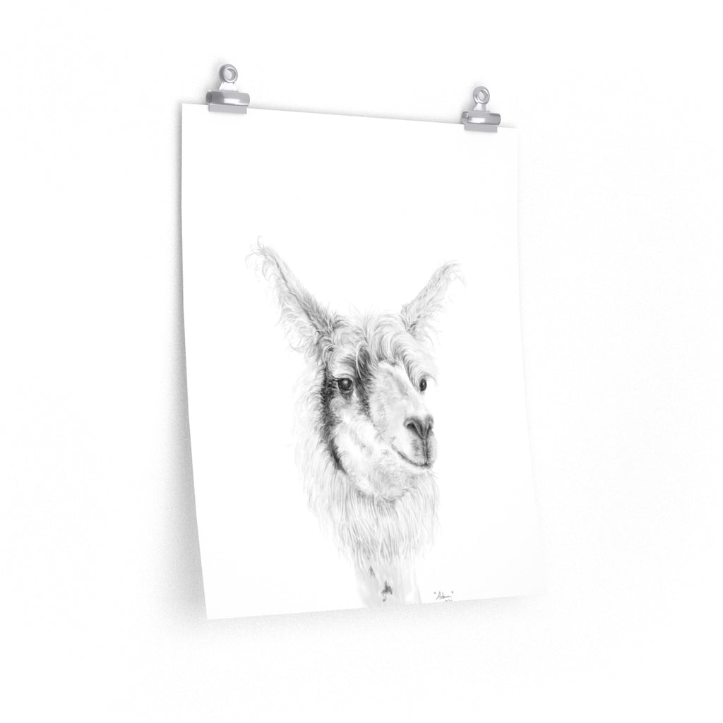 ADAM Llama- Art Paper Print