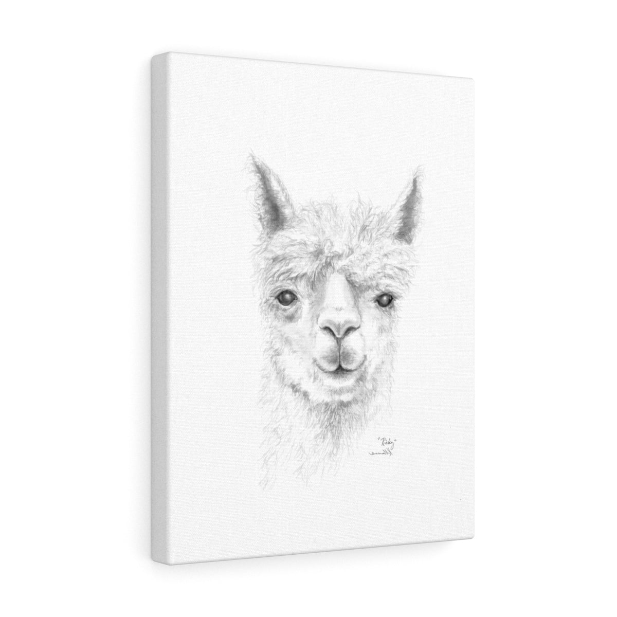 RICKY Llama - Art Canvas