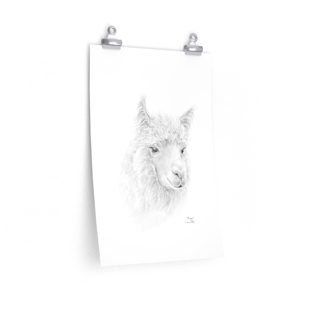 MORGAN Llama- Art Paper Print