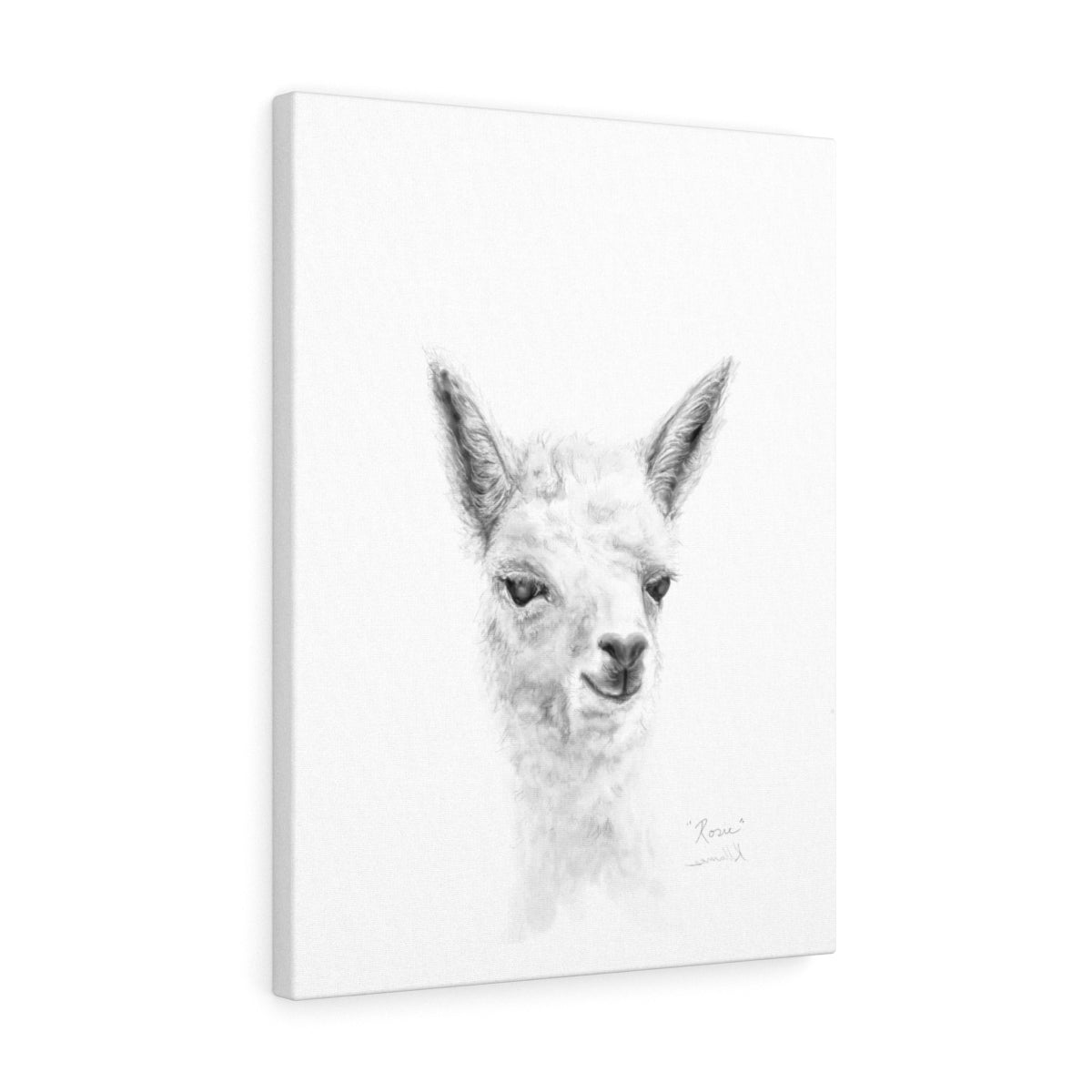 ROSIE Llama - Art Canvas