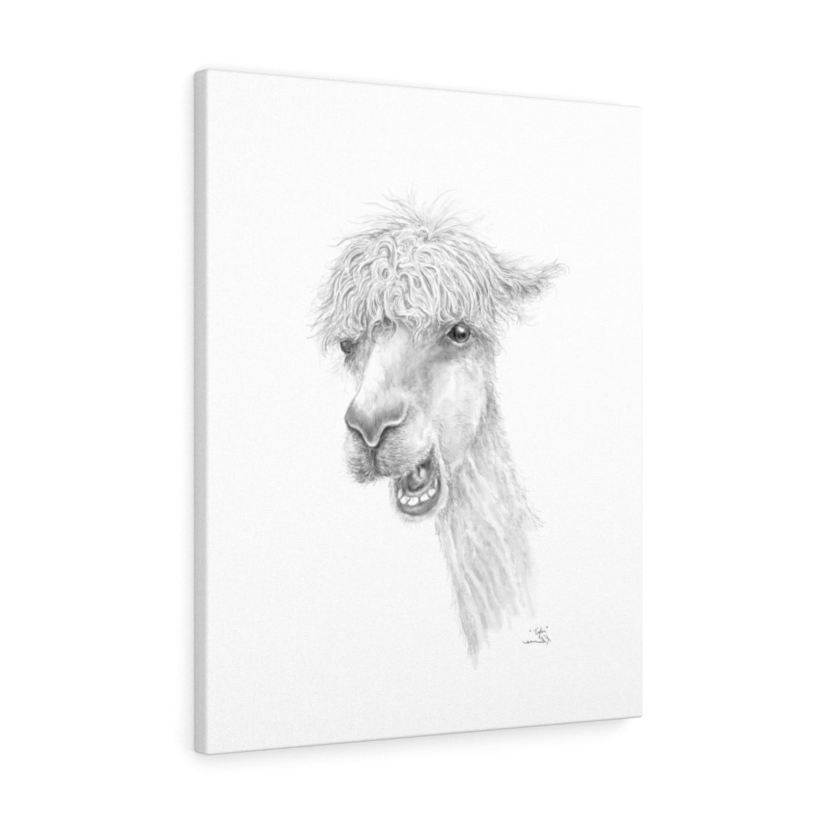TYLER Llama - Art Canvas
