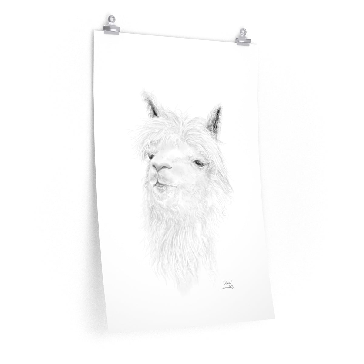 ASHA Llama- Art Paper Print