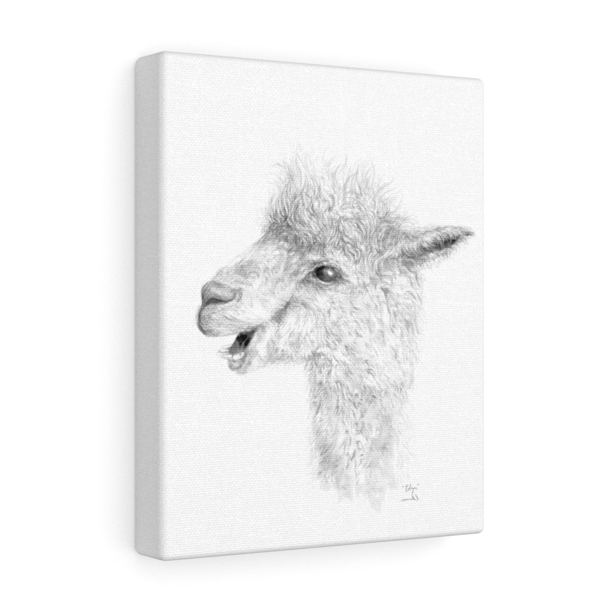 ROBYN Llama - Canvas