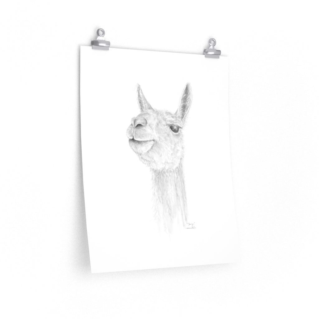 DAVYN Llama- Art Paper Print