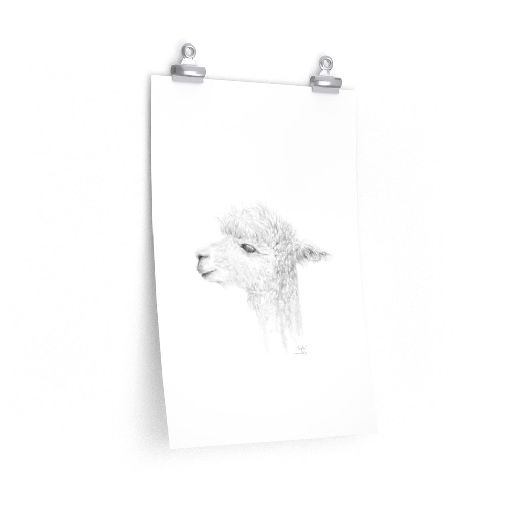 TAYLOR Llama- Art Paper Print