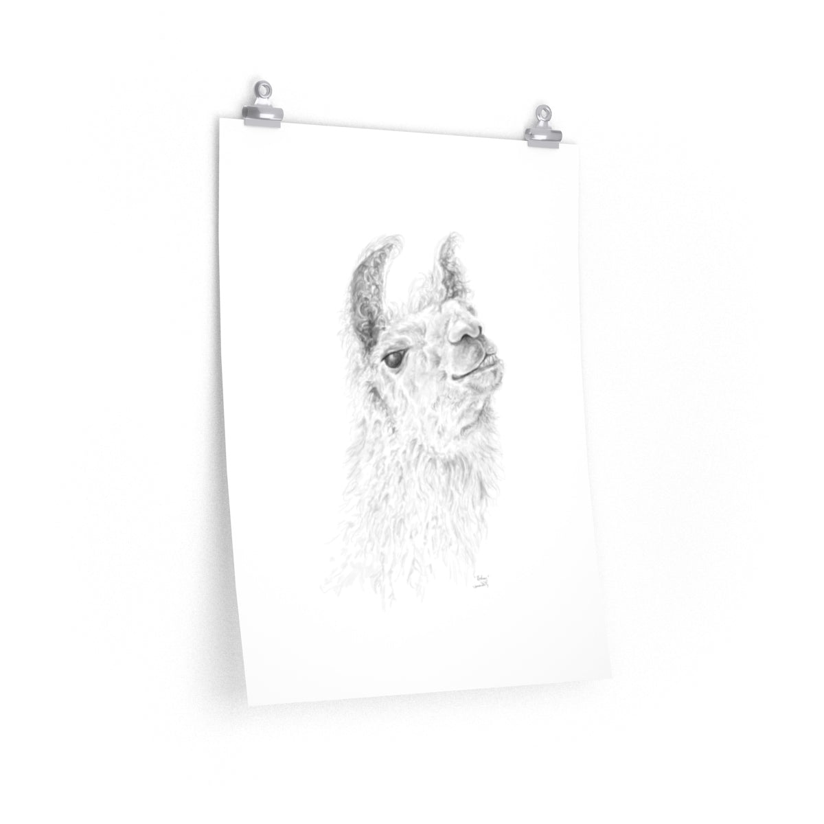 RODNEY Llama- Art Paper Print