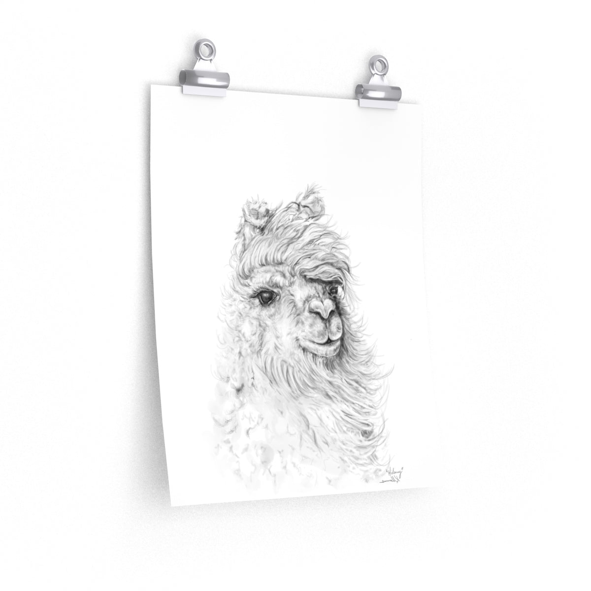 HILARY Llama- Art Paper Print