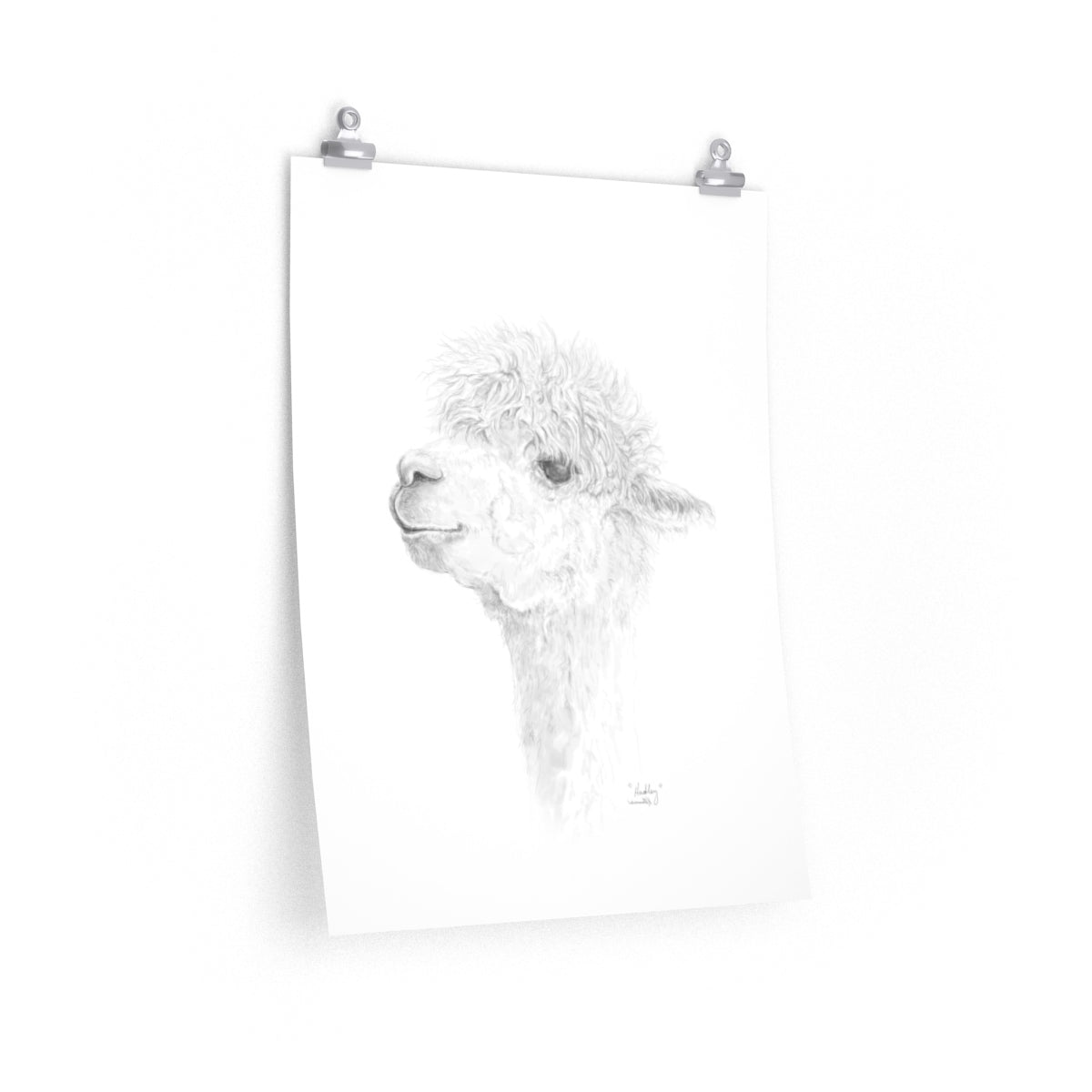 HADLEY Llama- Art Paper Print