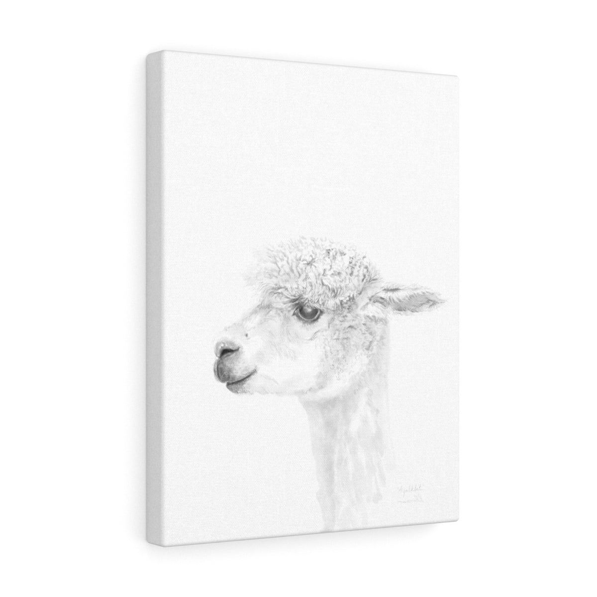AYALKBET Llama - Art Canvas