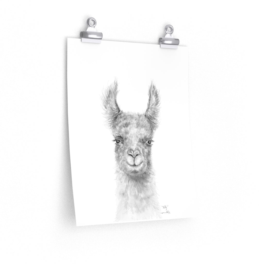 KELLY Llama- Art Paper Print