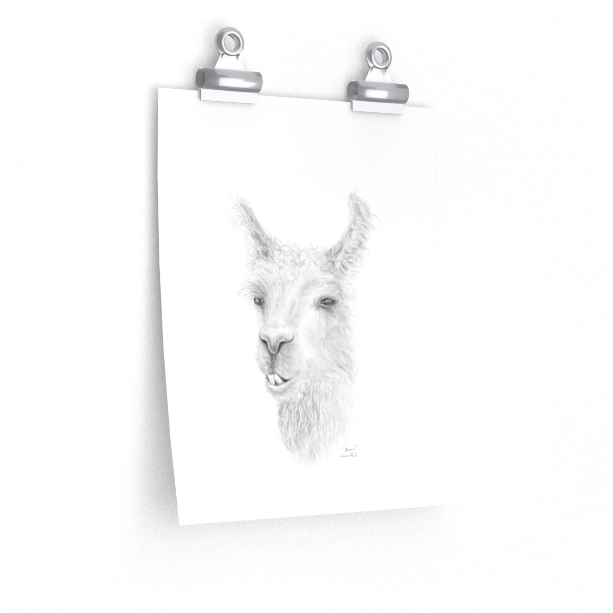 SHAUN Llama- Art Paper Print