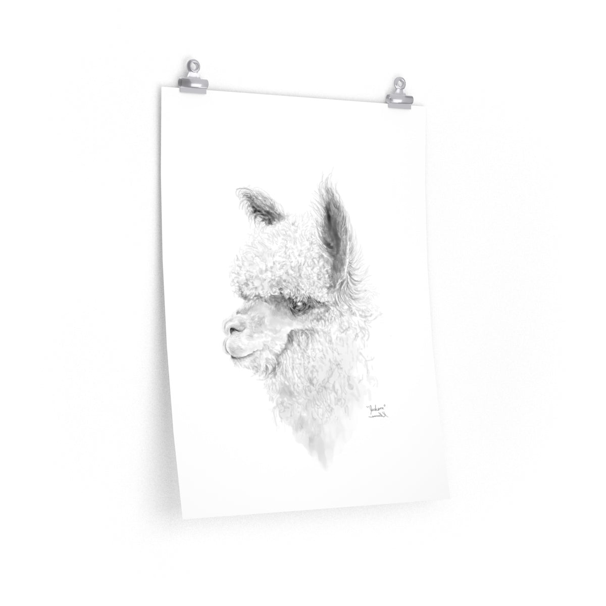 JACKSON Llama- Art Paper Print