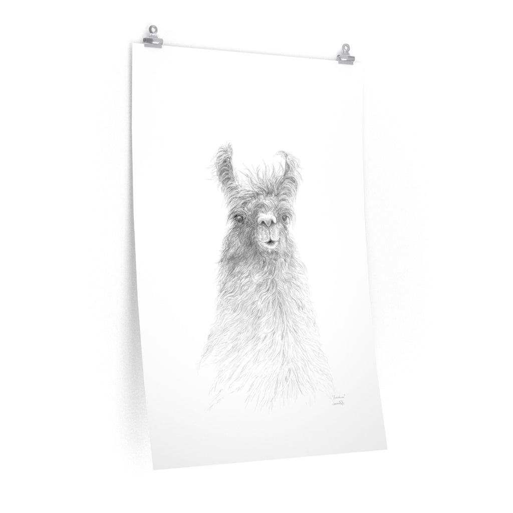 FRANCINE Llama- Art Paper Print