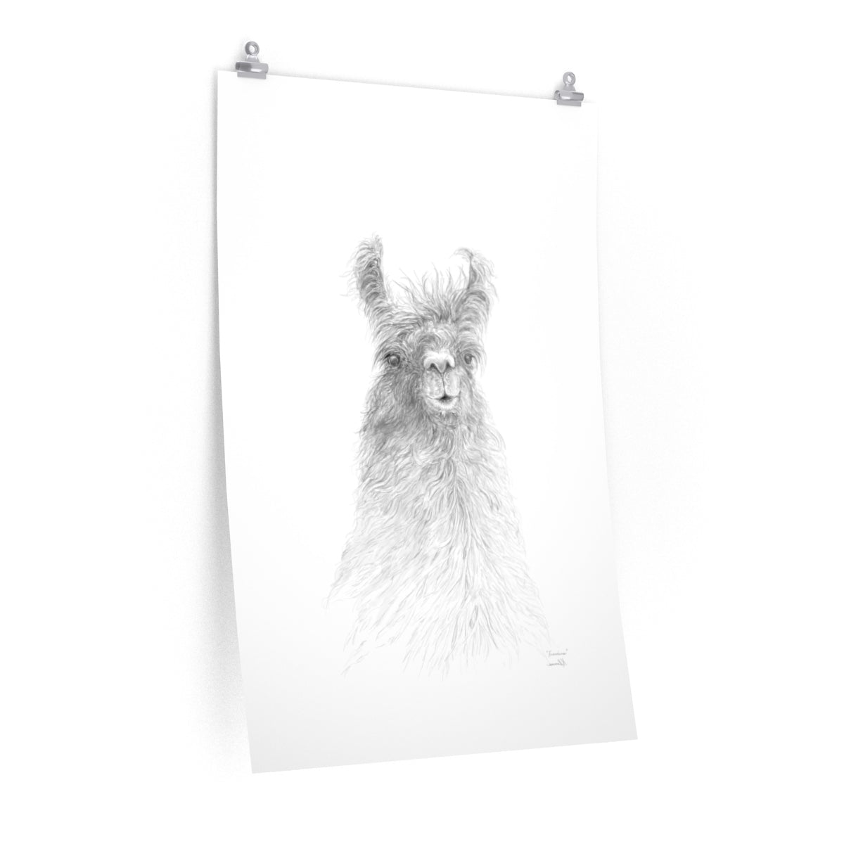 FRANCINE Llama- Art Paper Print