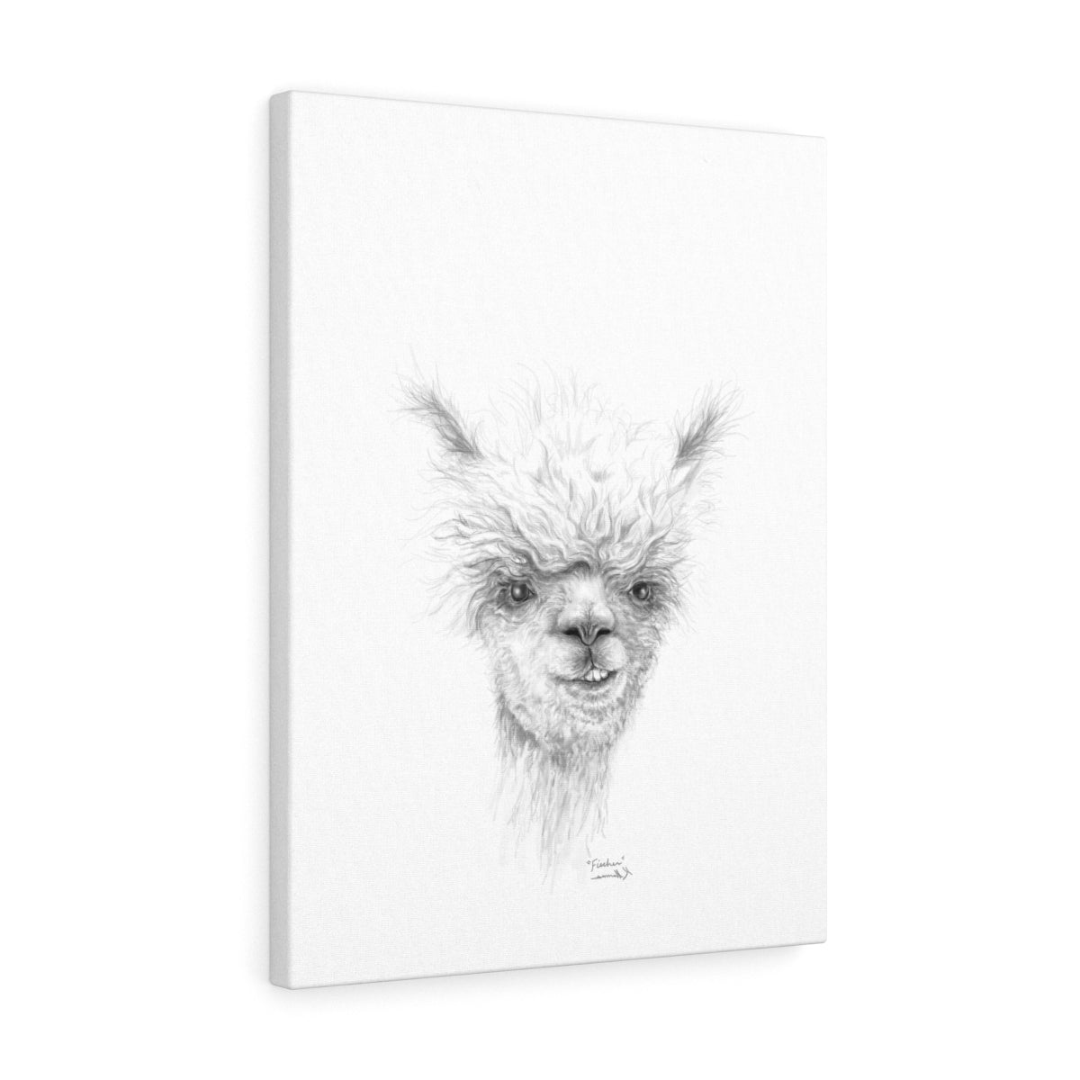 FISCHER Llama - Art Canvas