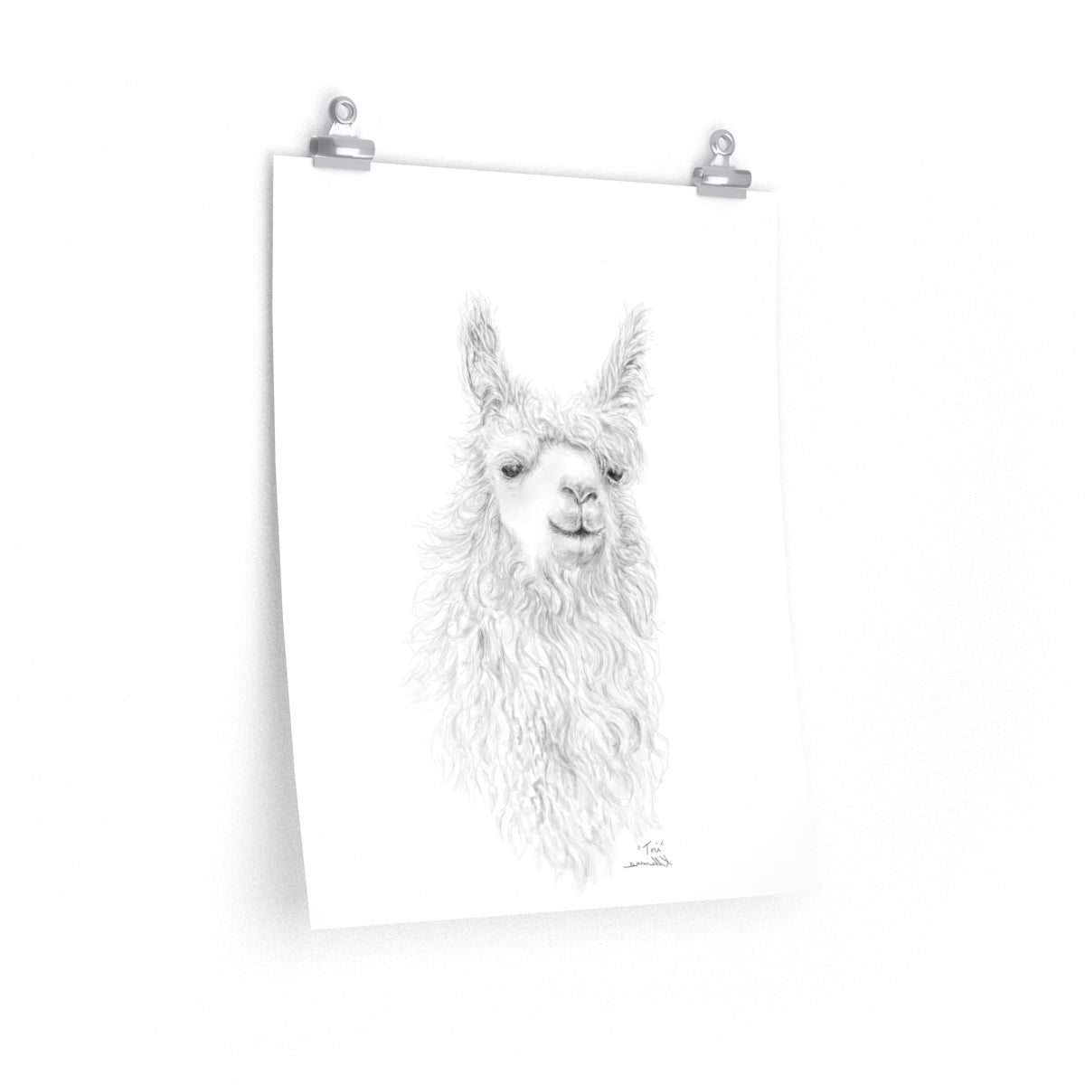 TORI Llama- Art Paper Print
