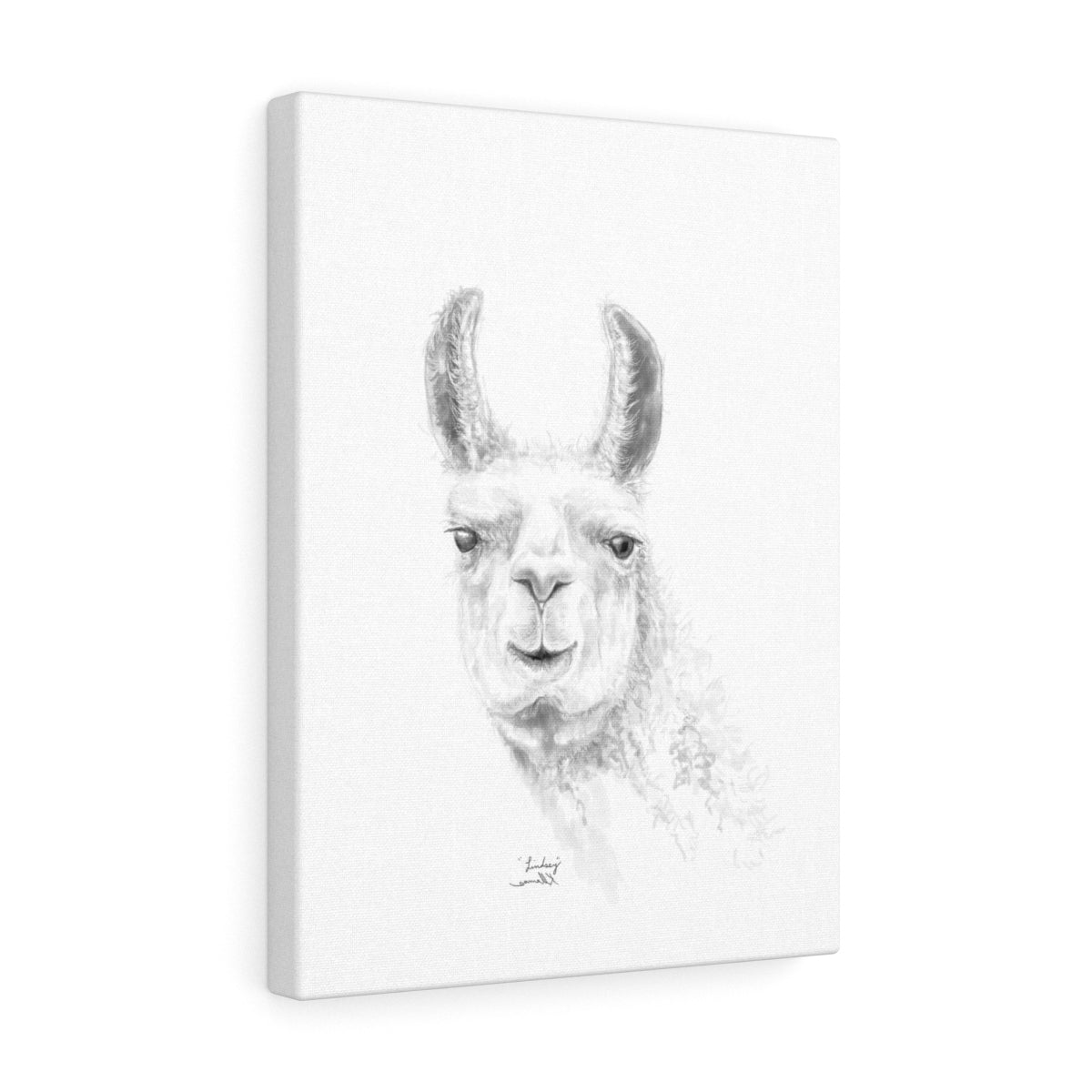 LINDSEY Llama - Art Canvas
