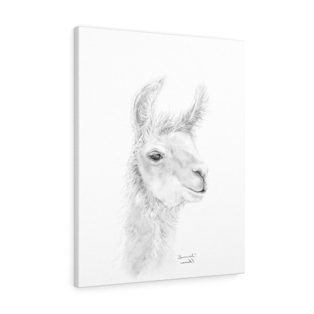 SAVANNAH Llama - Art Canvas