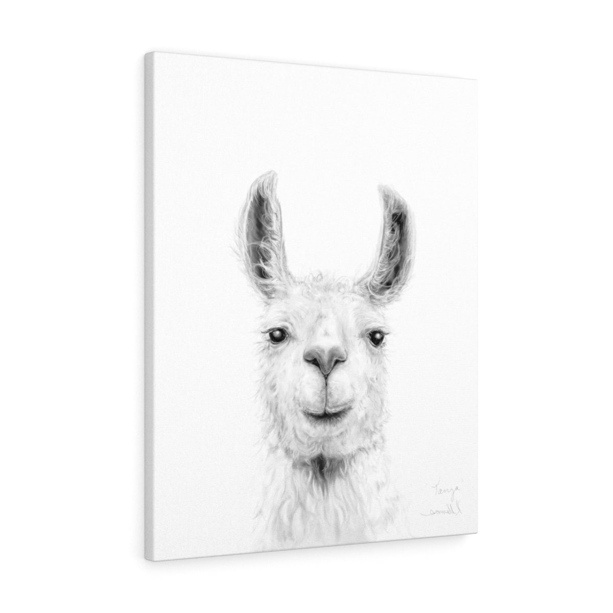 TANYA Llama - Art Canvas