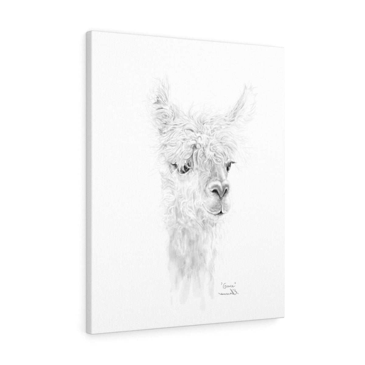 GRACE Llama - Art Canvas