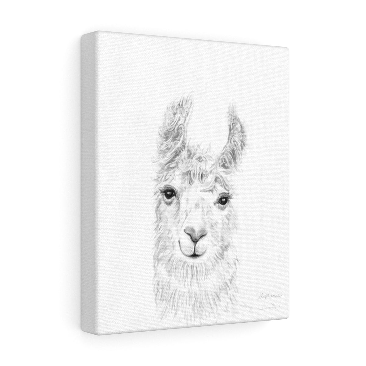 STEPHANIE Llama - Art Canvas