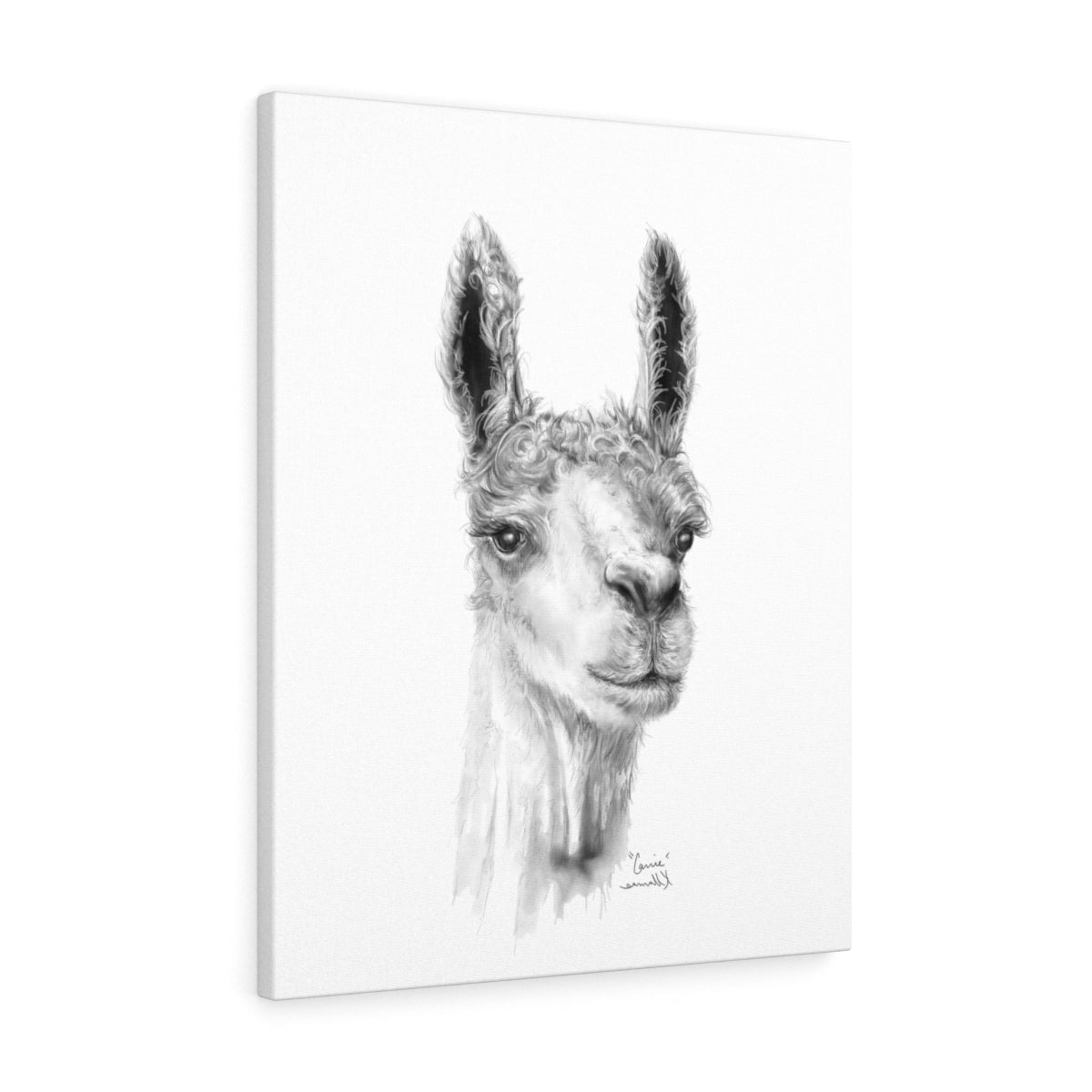 CARRIE Llama - Art Canvas