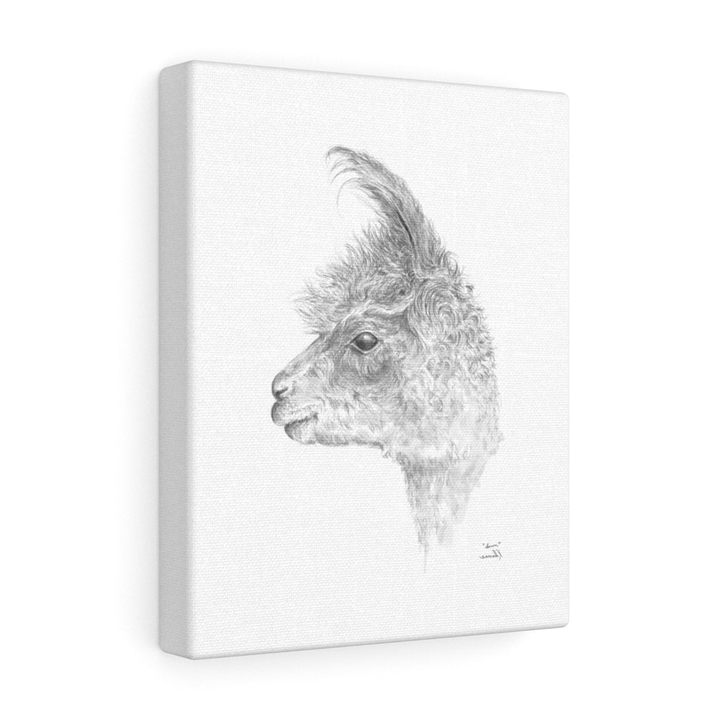 Aaron Llama - Art Canvas
