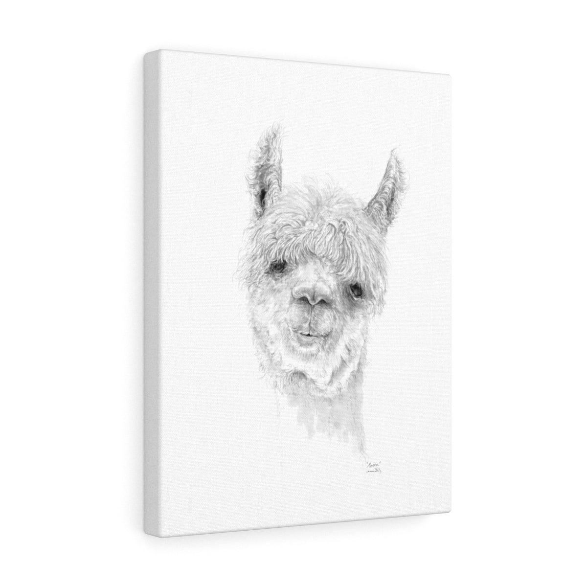 MASON Llama - Art Canvas