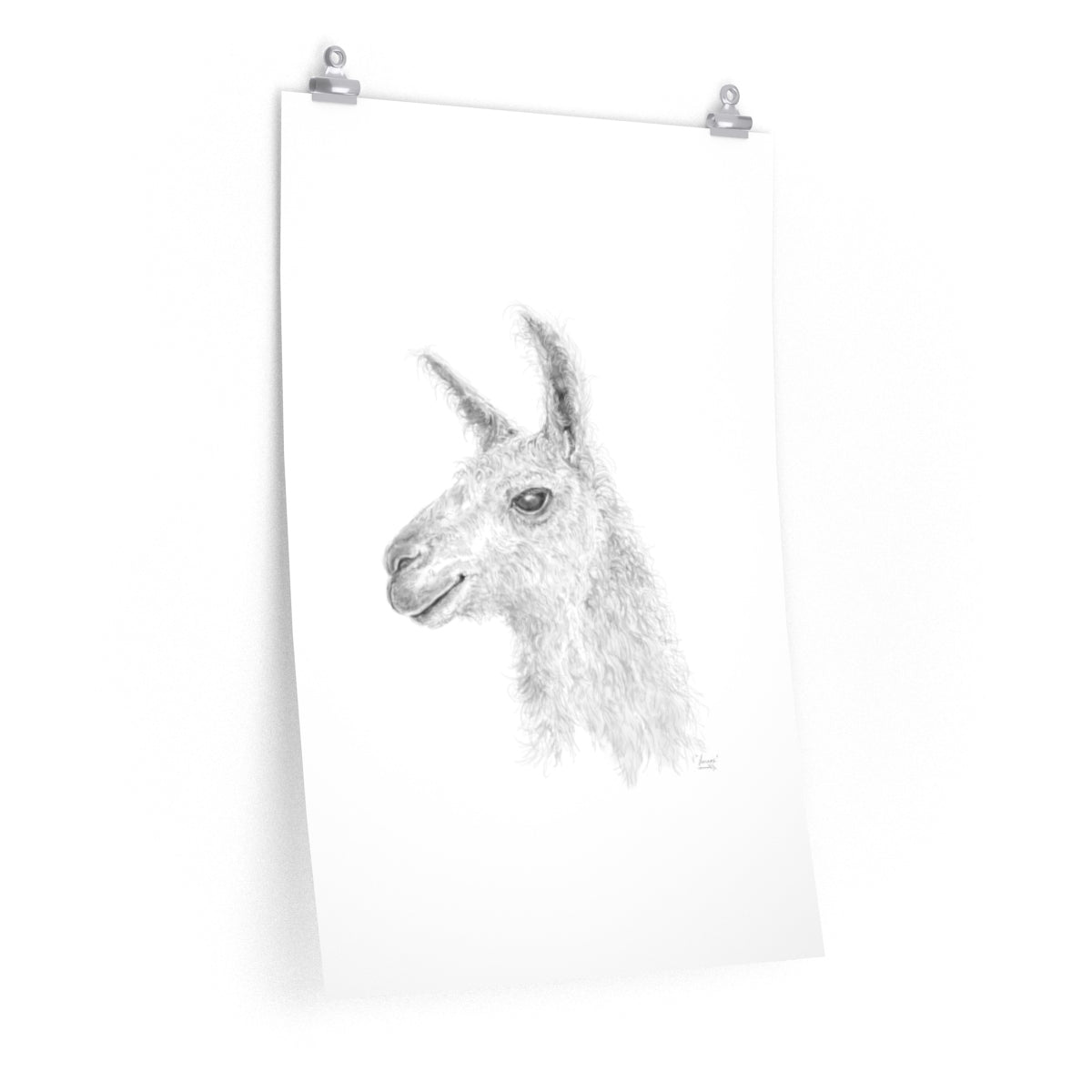LENNOX Llama- Art Paper Print
