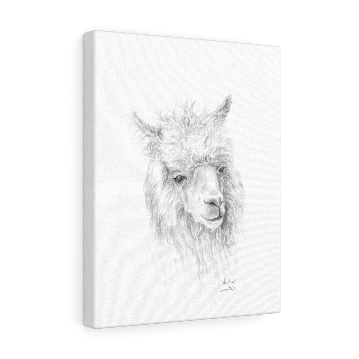 AUDRA Llama - Art Canvas
