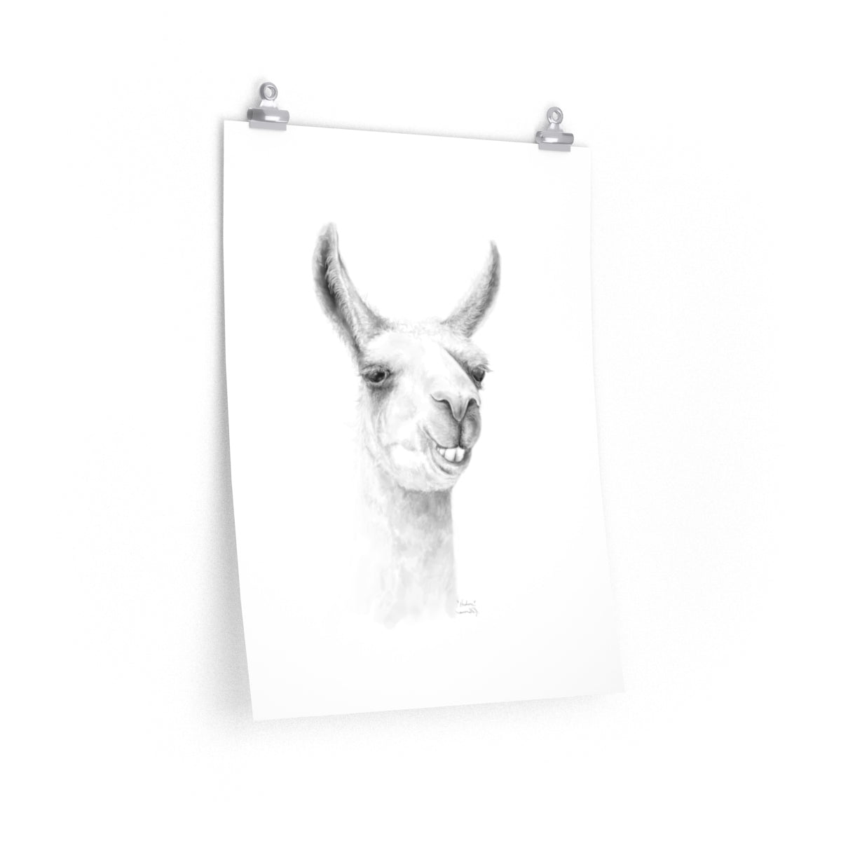 HUDSON Llama- Art Paper Print