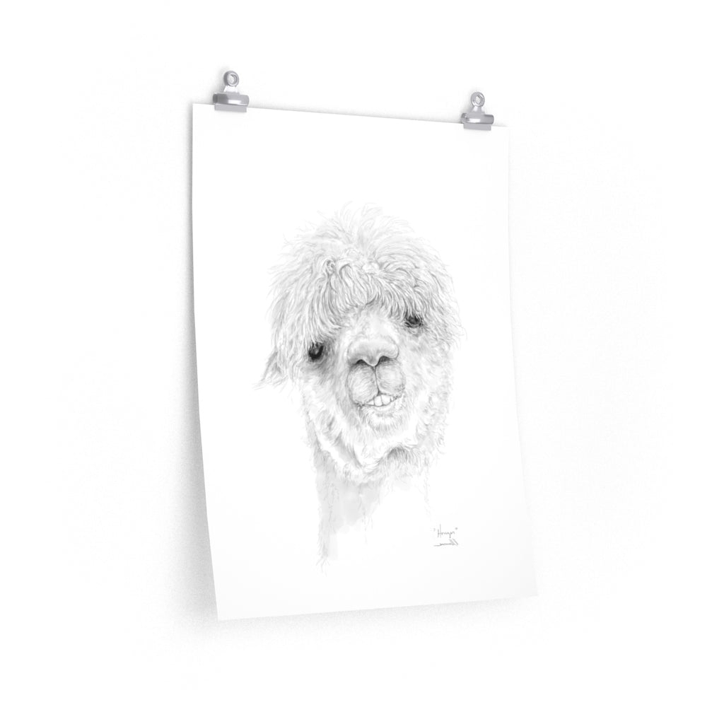 HOUZER Llama- Art Paper Print