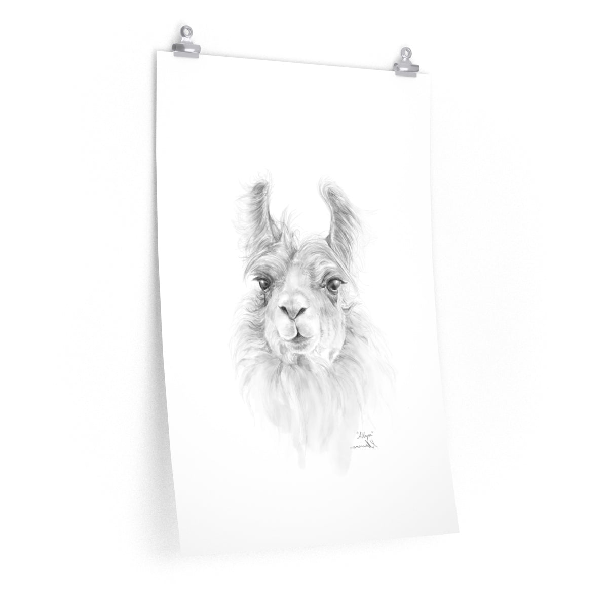 ALLYN Llama- Art Paper Print