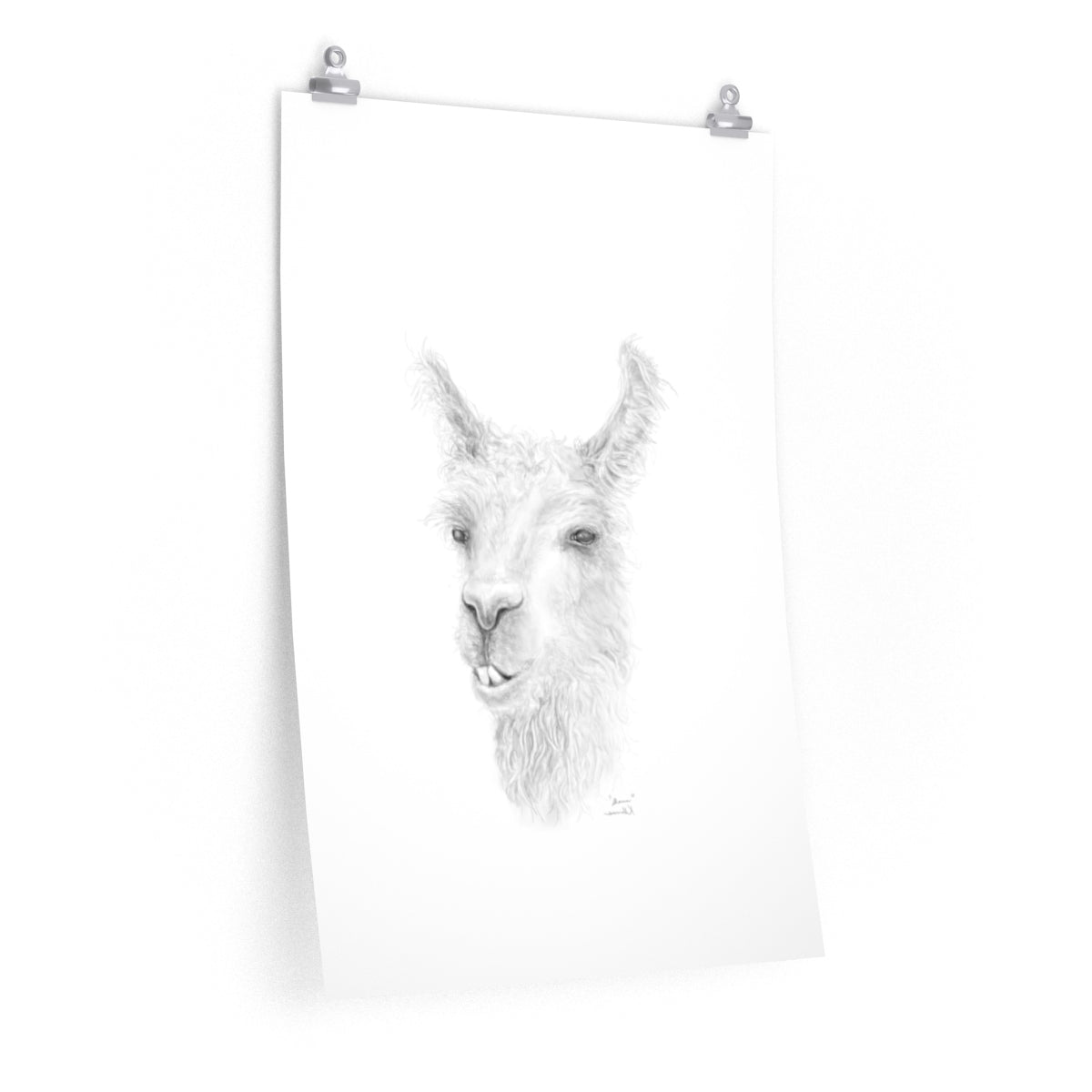 SHAUN Llama- Art Paper Print