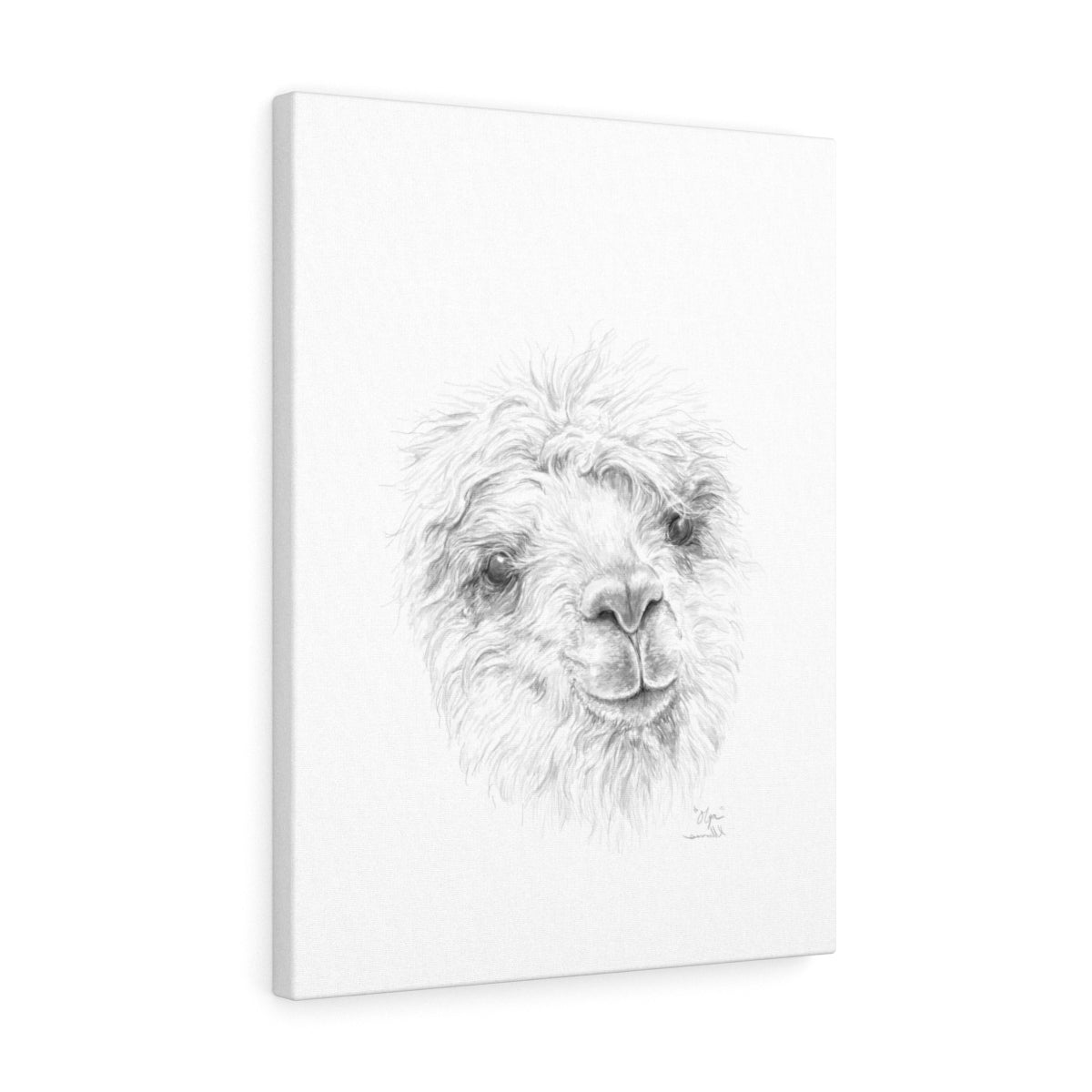 OLGA Llama - Art Canvas