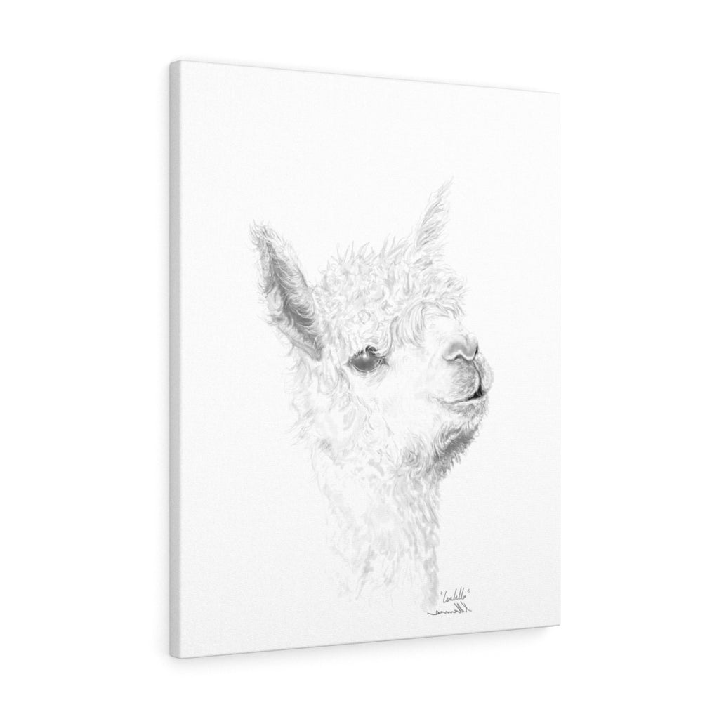 ISABELLA Llama - Art Canvas