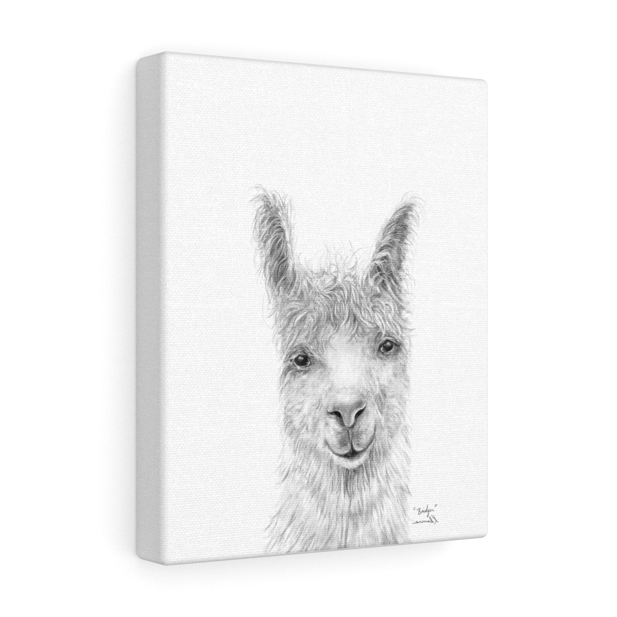 BRIDGER Llama - Art Canvas