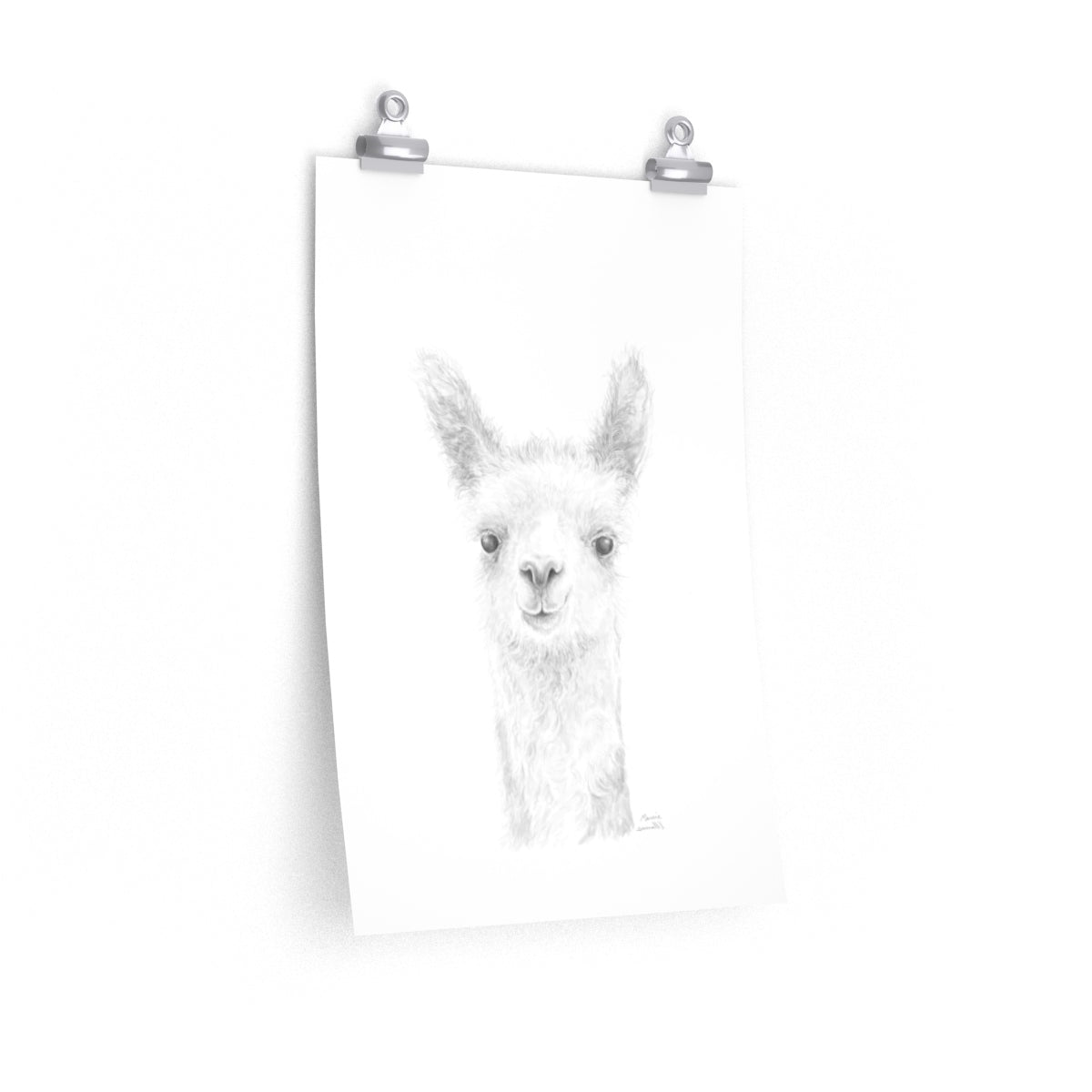 MARCIE Llama- Art Paper Print