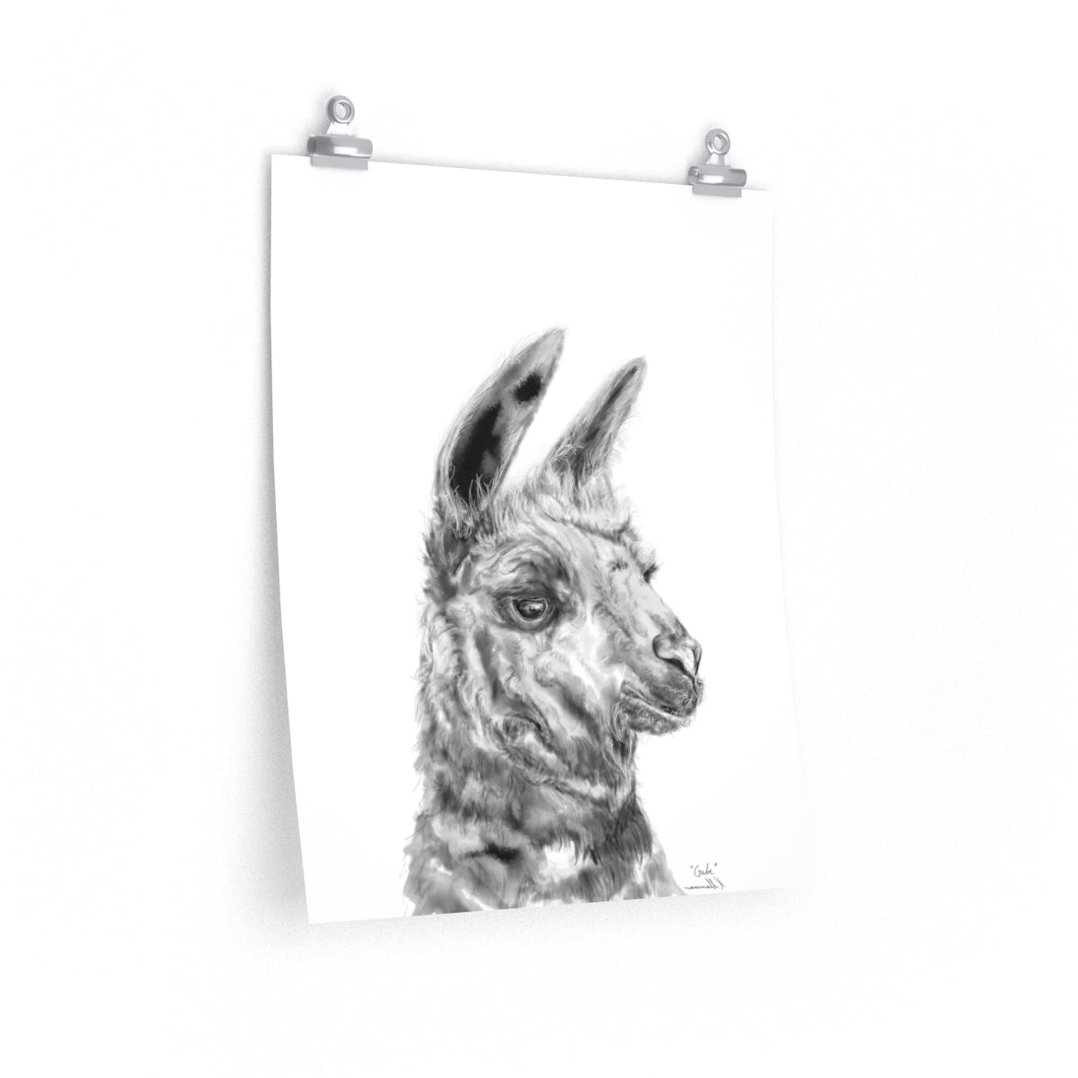 GABE Llama- Art Paper Print