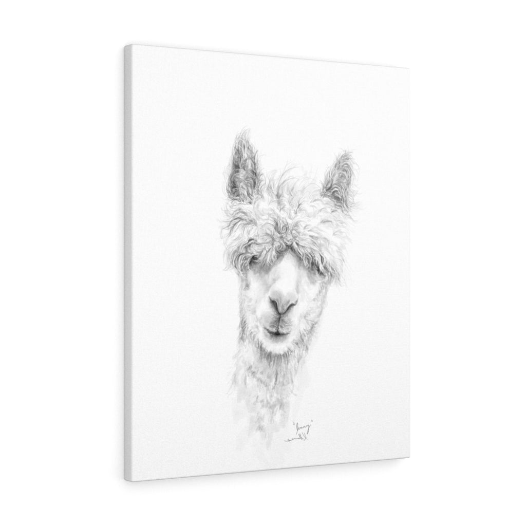 JENNY Llama - Art Canvas