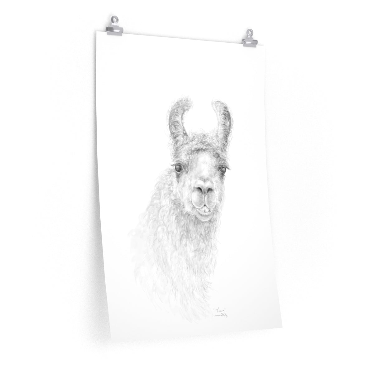 TONIA Llama- Art Paper Print