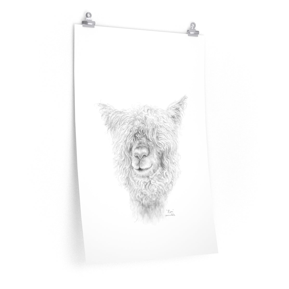 RION Llama- Art Paper Print