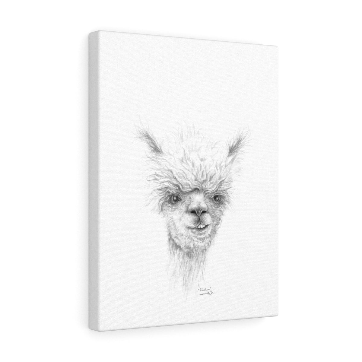 FISCHER Llama - Art Canvas