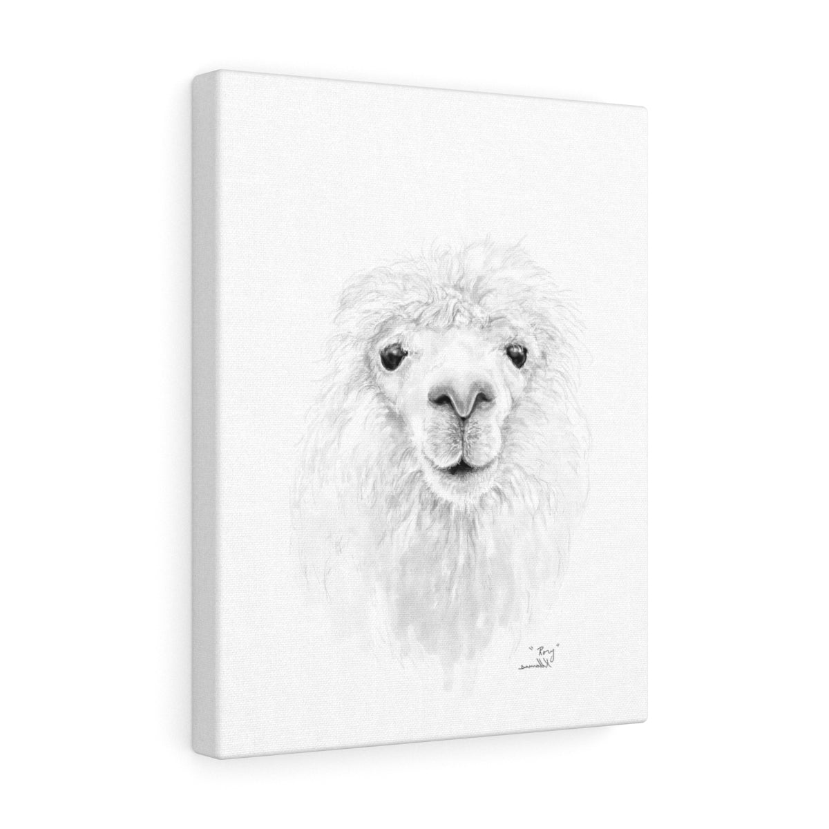 RORY Llama - Art Canvas