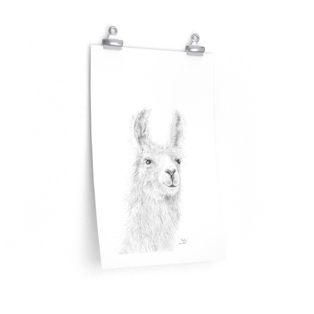 BAILEY Llama- Art Paper Print