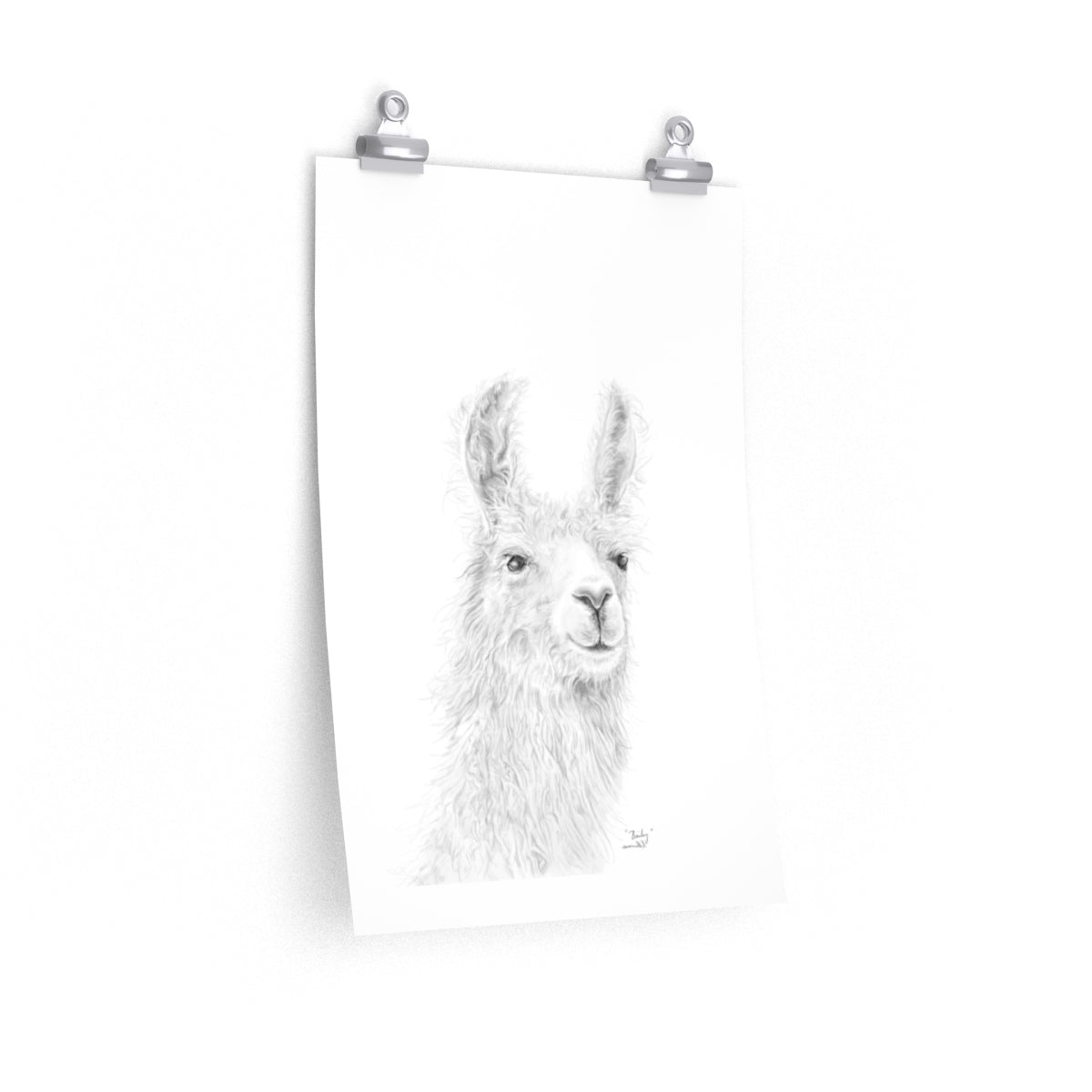 BAILEY Llama- Art Paper Print