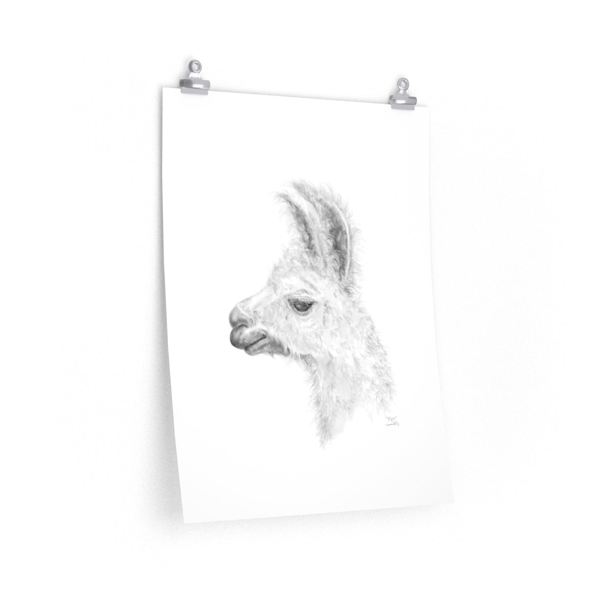 EZRA Llama- Art Paper Print